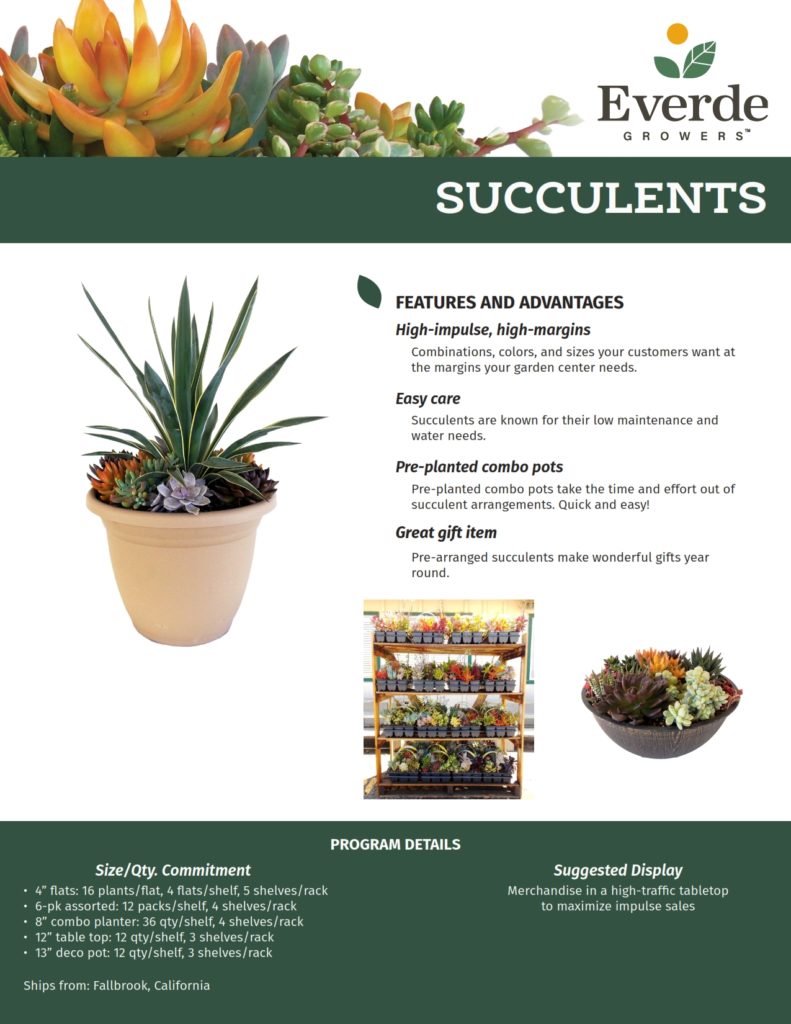 11 FALL_Succulents 2021-2_001