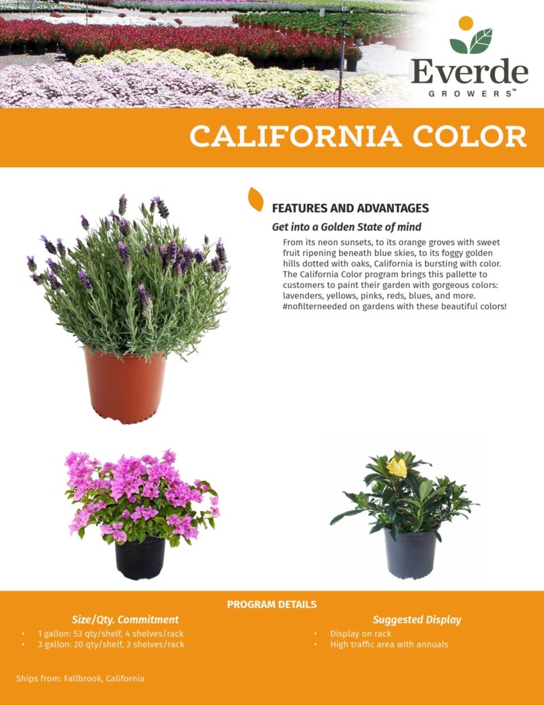 12 FALL_California Color 2021-2_001