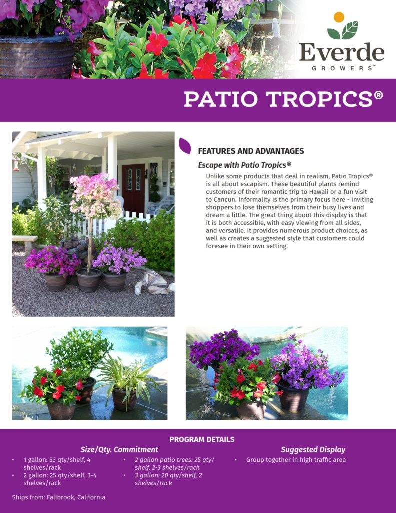 13 FALL_Patio Tropics 2021-2_001