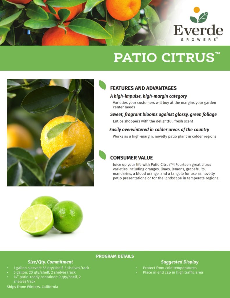 2 WINT_Patio Citrus 2021_001