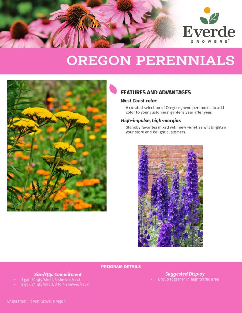 6 FORE_Perennials 2021-2_001