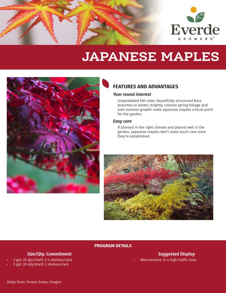 7 FORE_Japanese Maples 2021-2_001