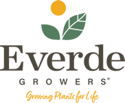 Everde Growers Logo