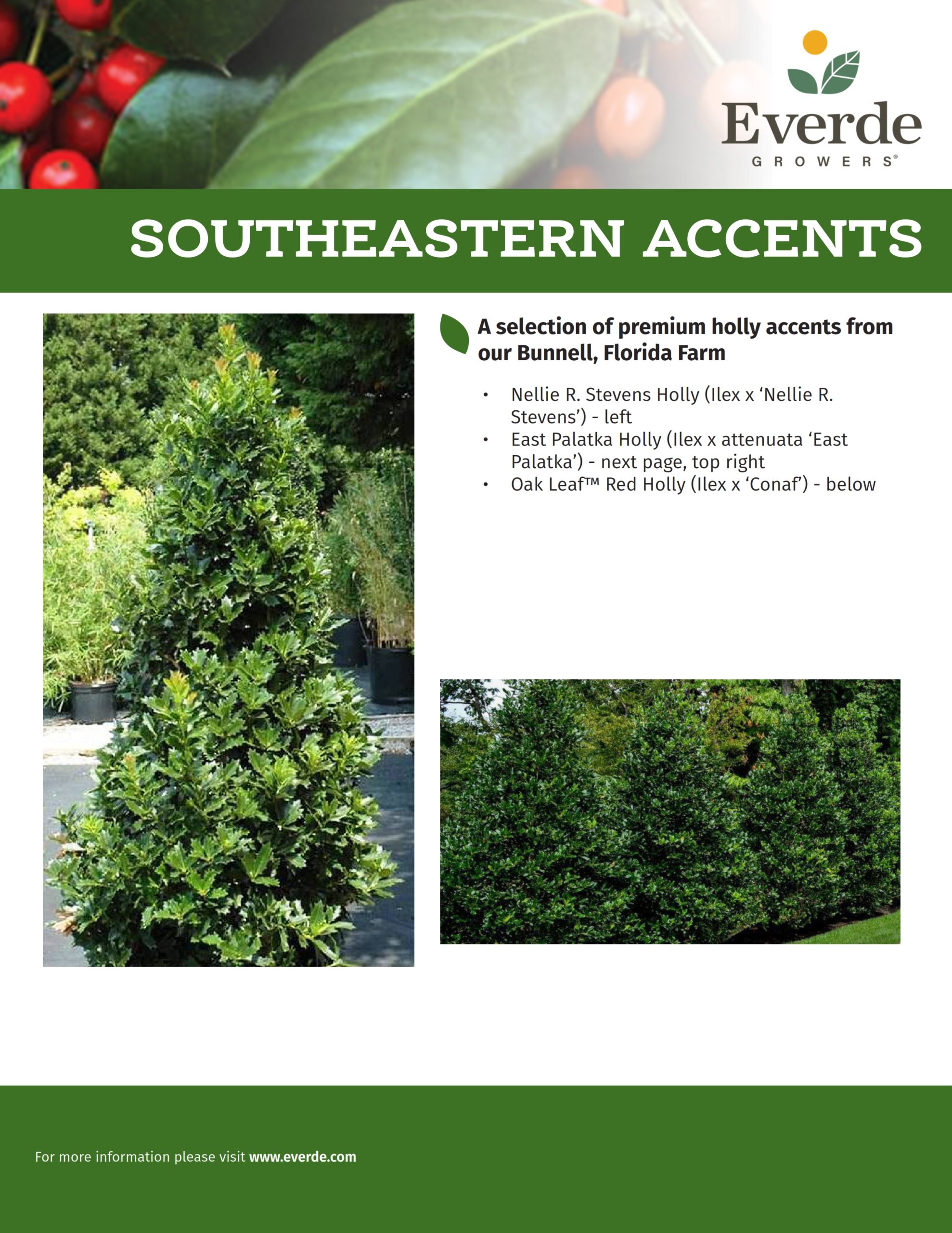 BNL_Southeastern Accents 2022_00