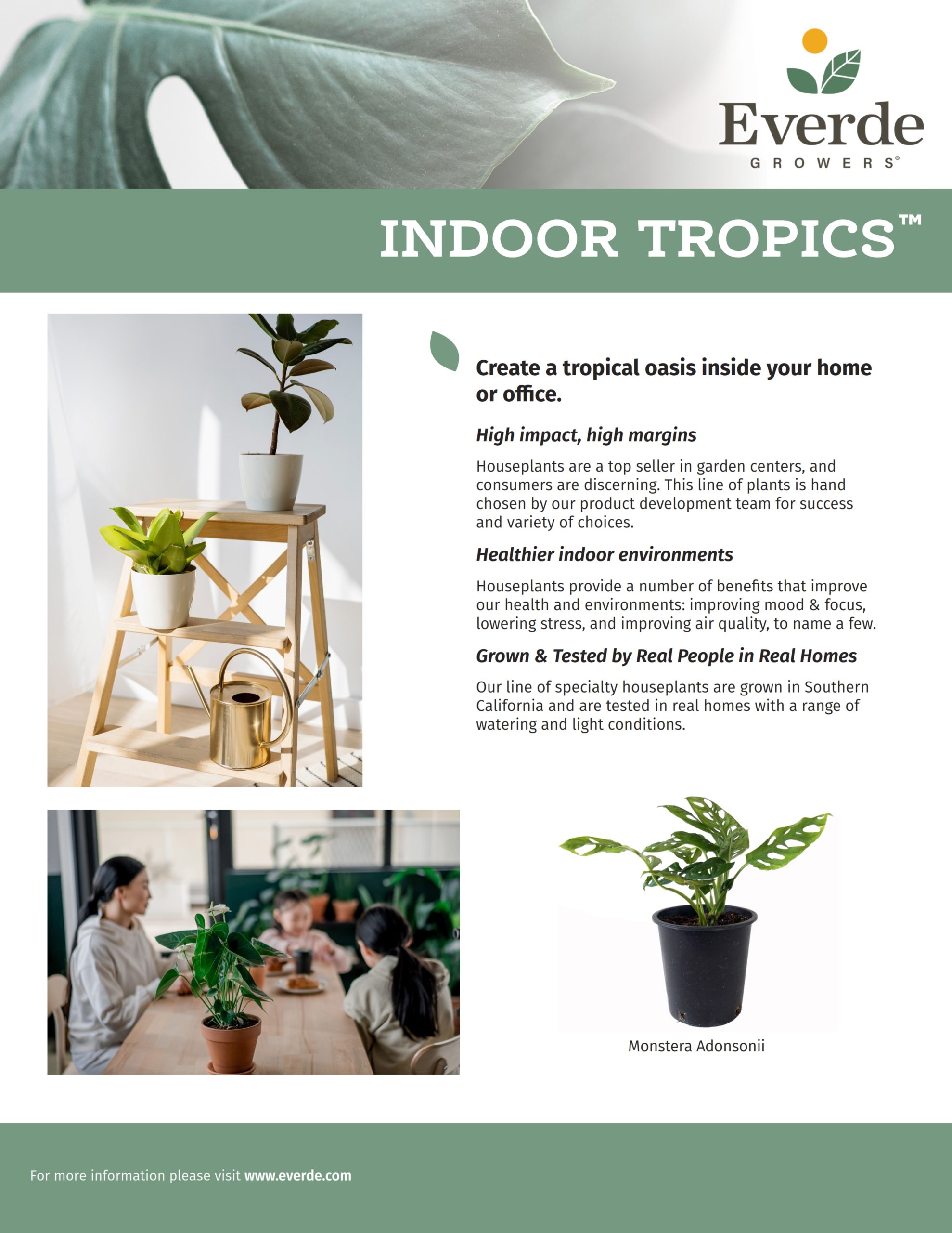 FALL_Indoor Tropics 2022_001