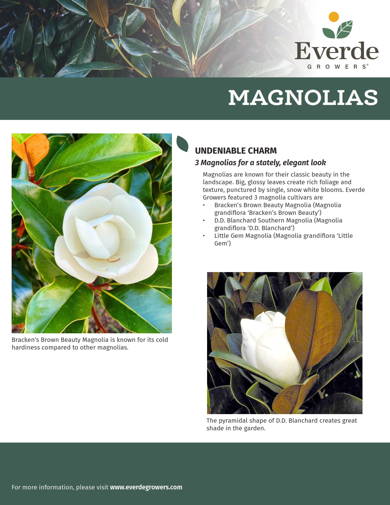 GFL_Magnolias 2022 v2_001