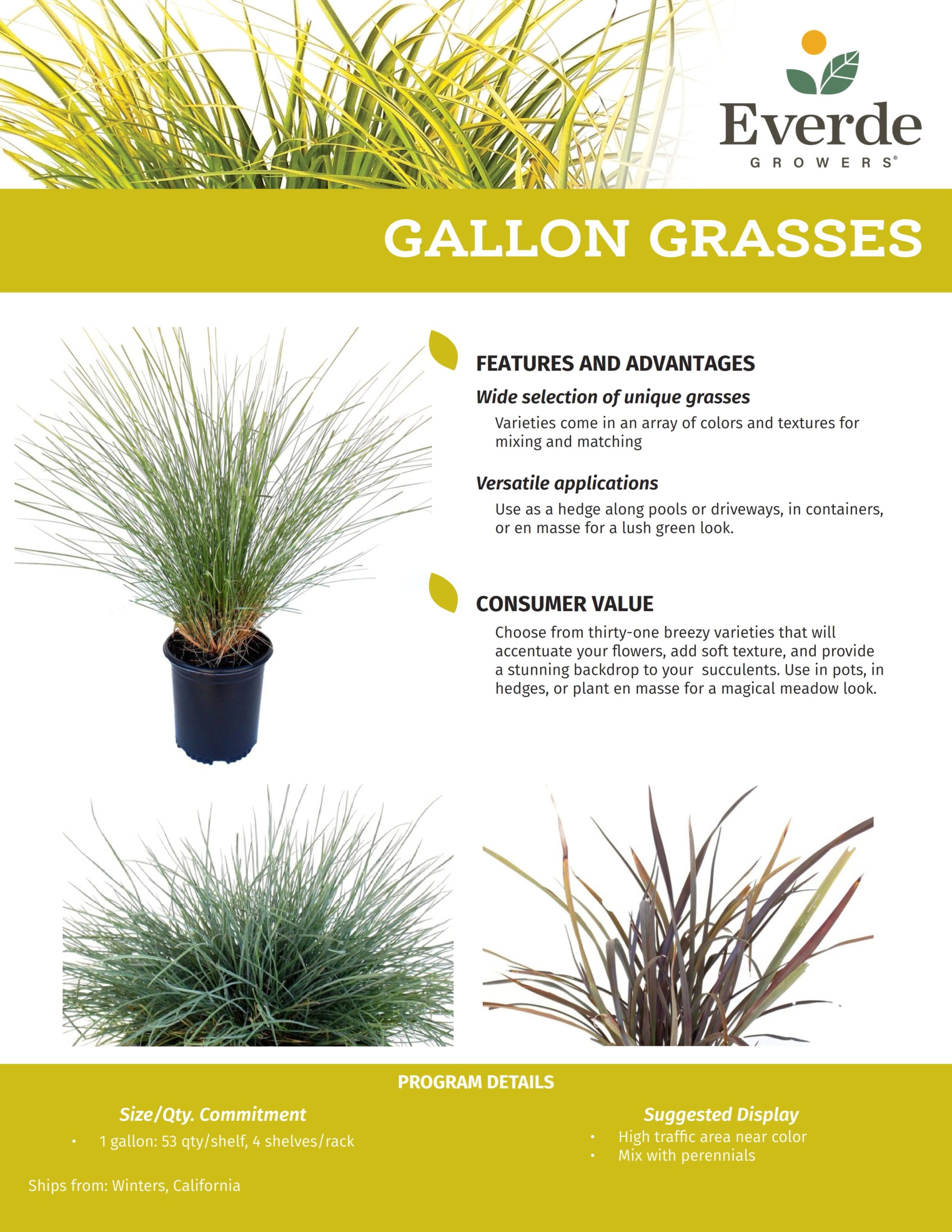 WINT_Gallon Grasses 2022_001