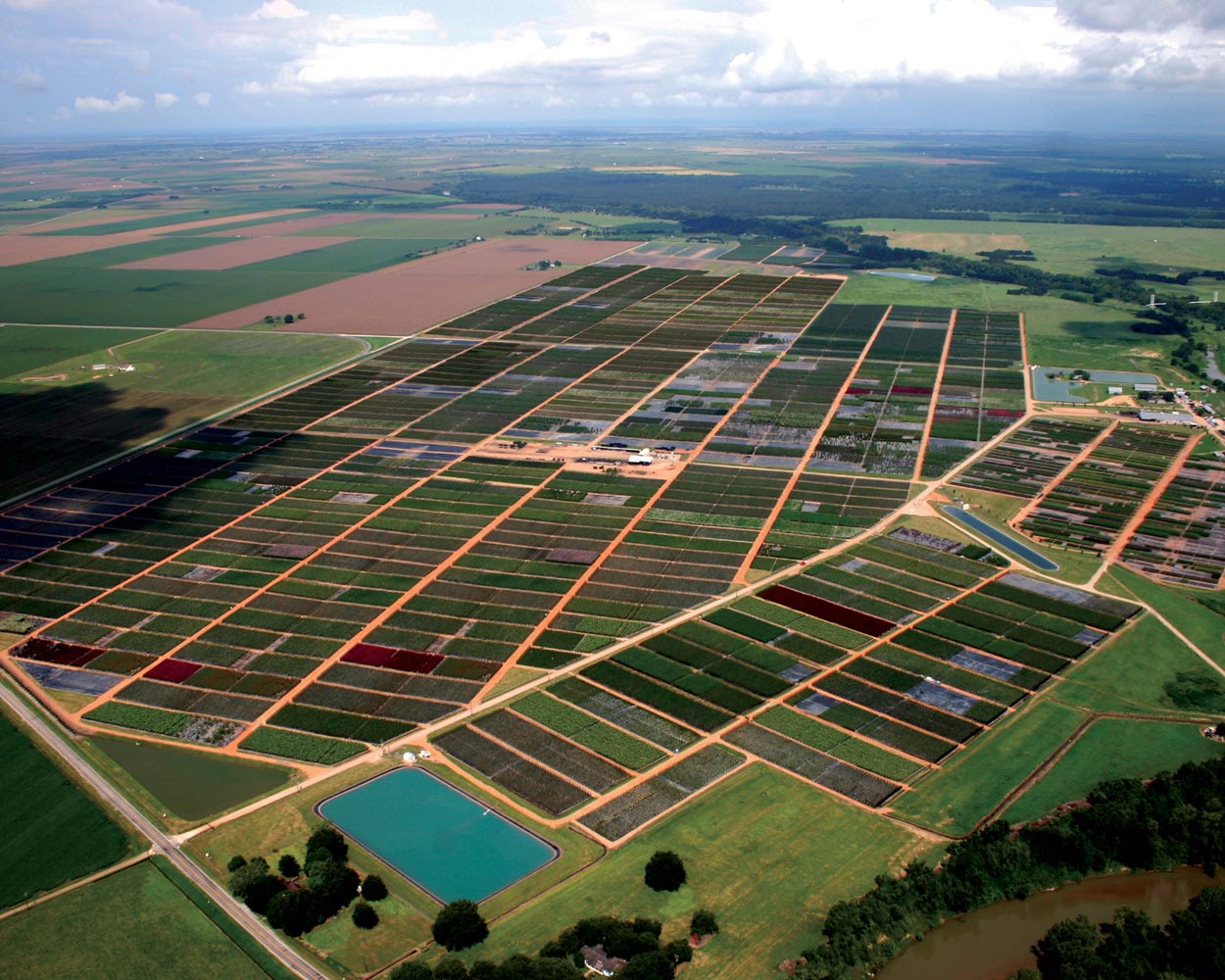 6,700 Acres: Plants for Every Landscape